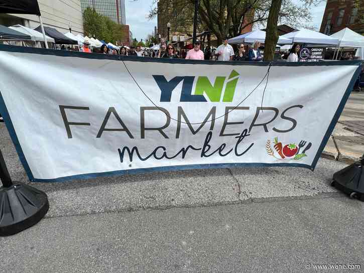 Rain or shine the YLNI Summer Market reopens for the 2025 season