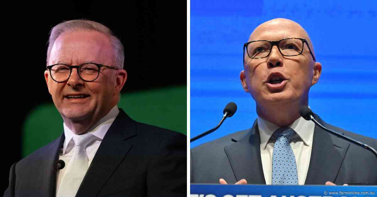 Labor predicted to win election after early counting swings to government