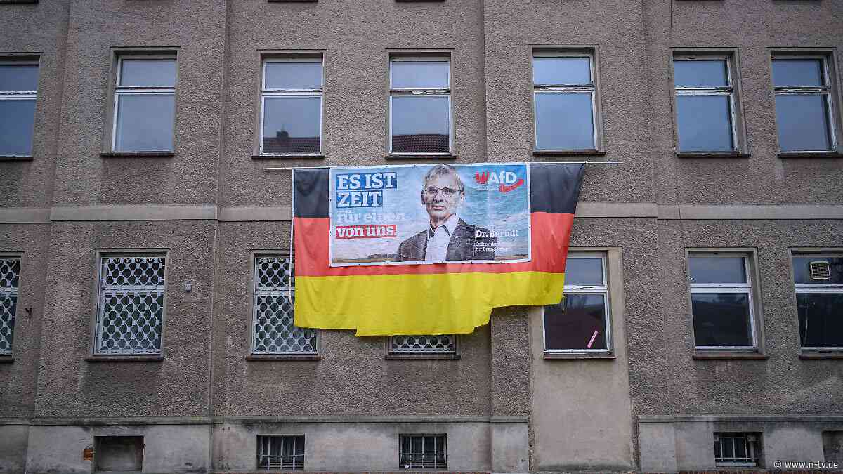 Reaktionen auf BfV-Entscheidung: Ziehen die Bundesländer bei ihrer AfD-Einstufung nach?