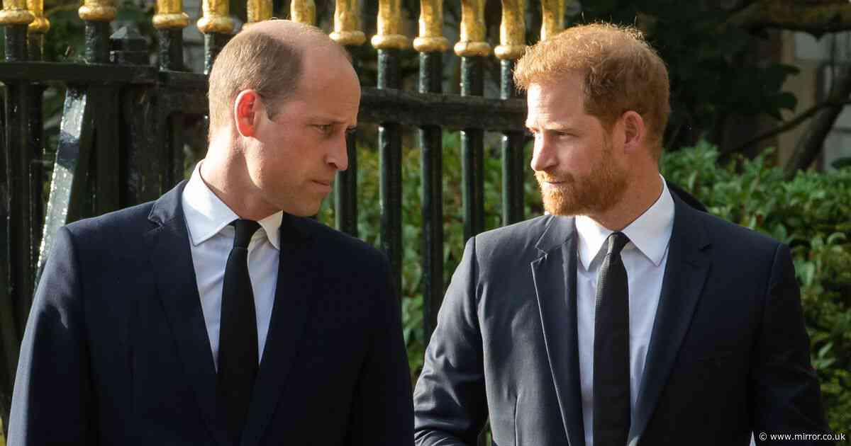 Prince Harry and brother William 'never the friends we were led to believe'