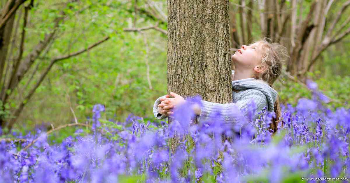 New nature project launched for these young people