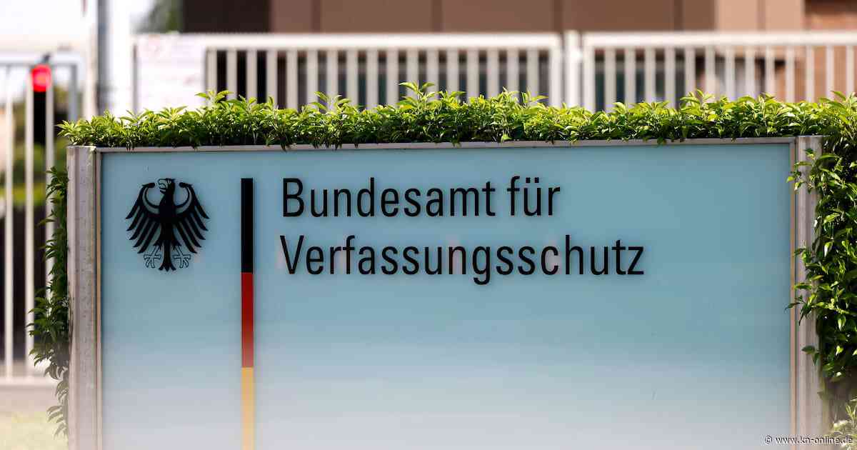 AfD: Diskussionen um Verbotsantrag nehmen wieder Fahrt auf