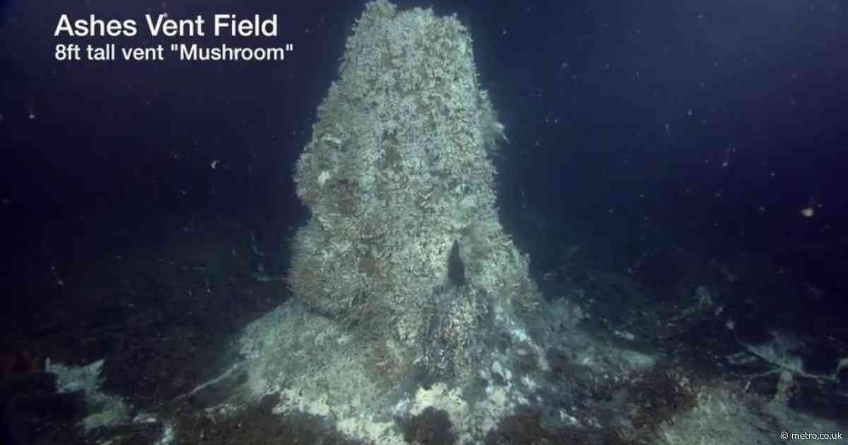Huge underwater volcano is ‘swelling and about to blow’ at any moment