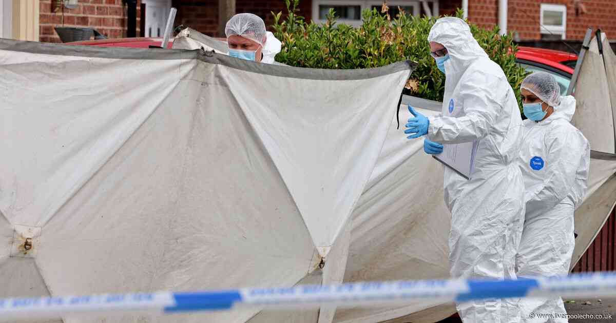 Updates from the scene after man in his 30s stabbed to death