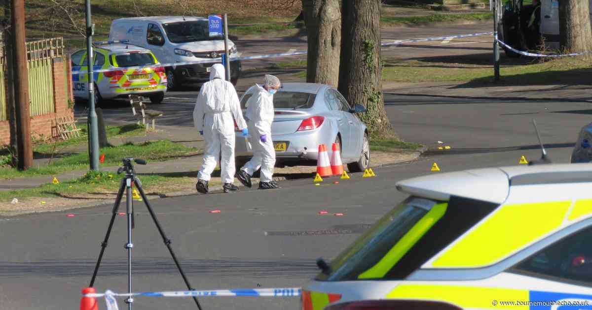 Woman 'deliberately collided with motorbike before fatal crash'