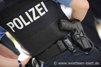 Mann bedroht Polizei mit einer Harpune