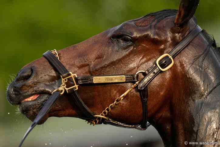 What makes a Kentucky Derby champion? Big hearts, immense lungs and powerful legs