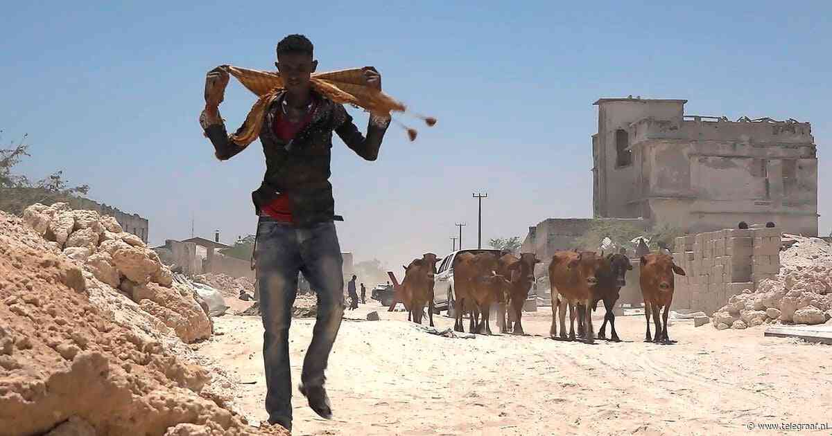 Erdogan breidt invloedssfeer uit in islamitische wereld: ’Kans die anderen hebben laten liggen’