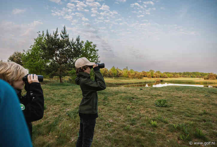 Onze fotograaf was vroeg uit zijn 'nest' voor de NGF Birdwatchingday: Zijn ochtend in vijf prachtige foto's