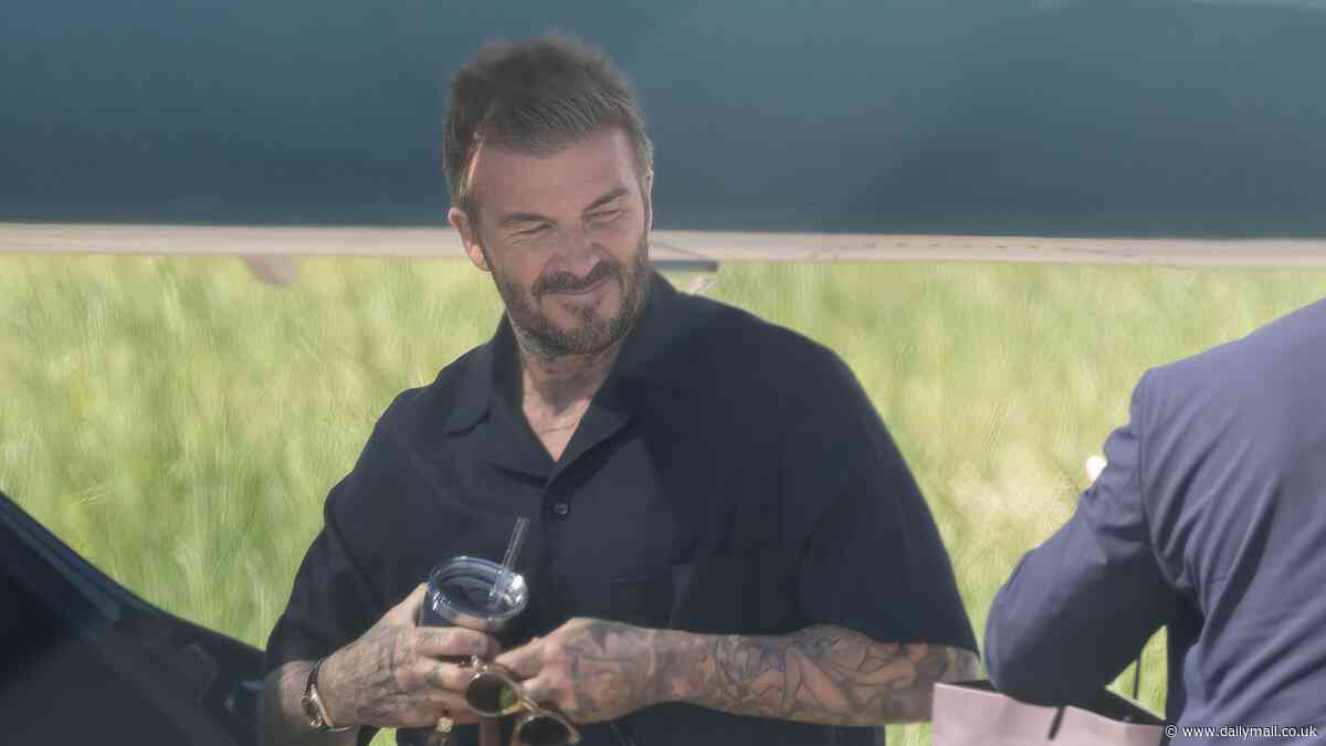 David Beckham's private jet arrives back in Luton after enjoying swanky dinner in Paris with his family to celebrate his 50th birthday