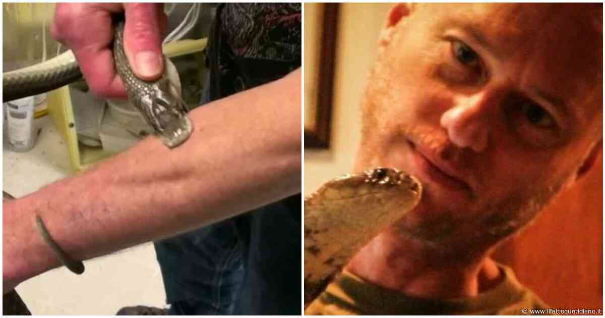 “Volevo spingermi il più vicino possibile alla morte, ero curioso”: si fa mordere da 850 serpenti velenosi che “ucciderebbero un cavallo”, la storia di Tim Friede