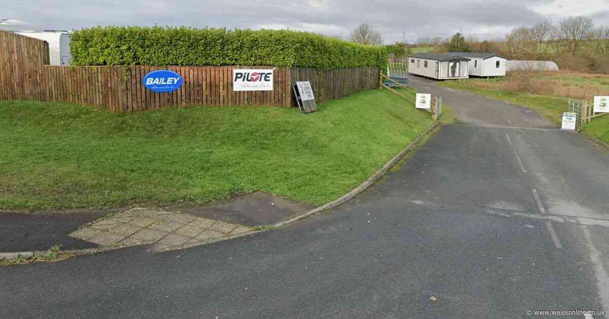 Plan to set up dog daycare business on site of former garden centre