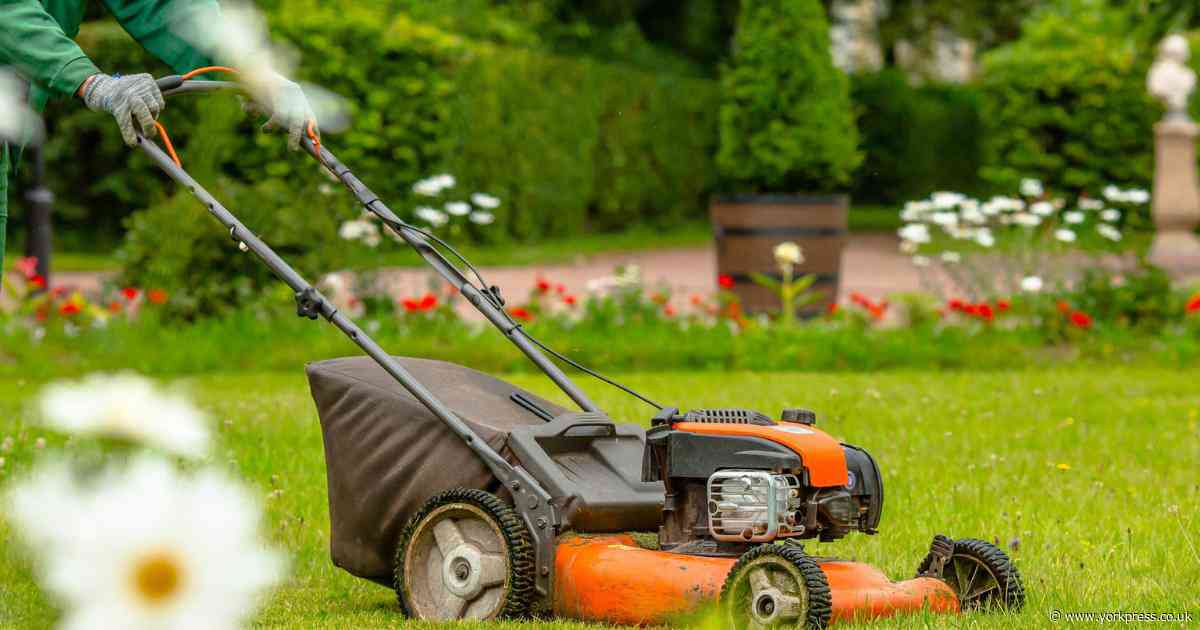 What is the best time of day to mow your lawn? Expert shares tips
