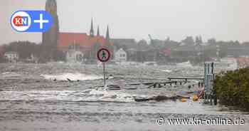 Hochwasser an der Schlei: Kann neues Küstenschutzkonzept helfen?