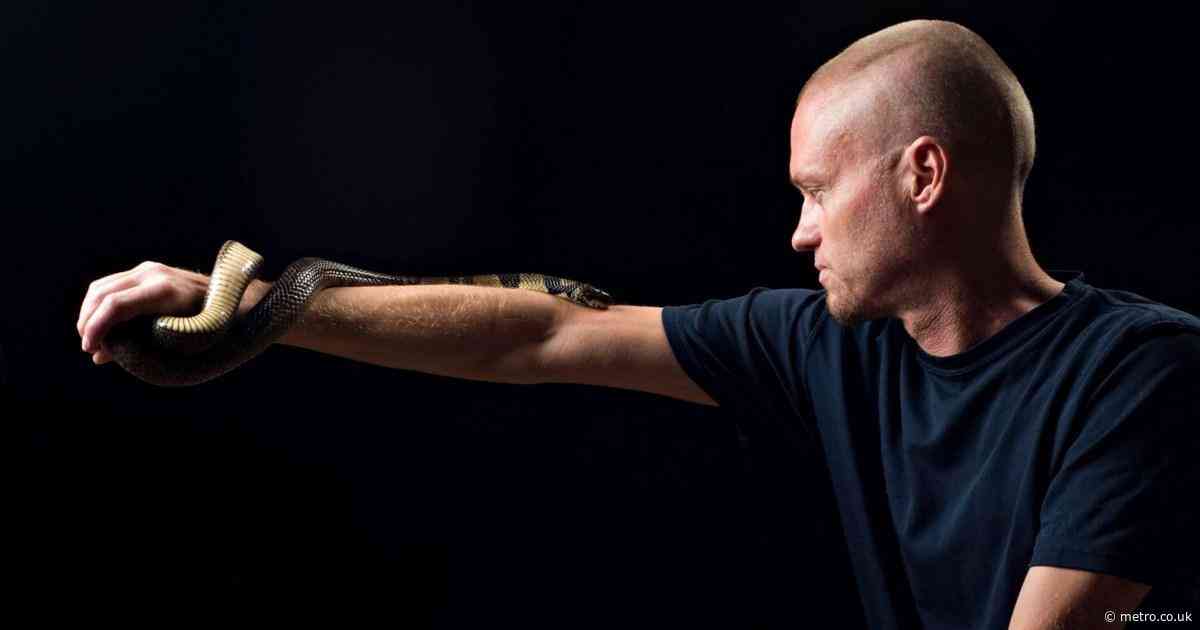 Scientist let deadly snakes bite him 200 times to create ‘unparalleled’ anti-venom