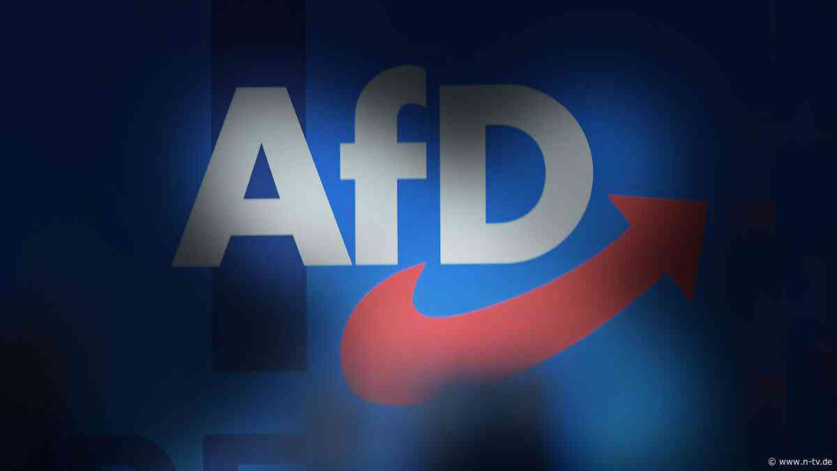 "Finde ich unerträglich": Innenminister wollen AfD-Finanzierung prüfen