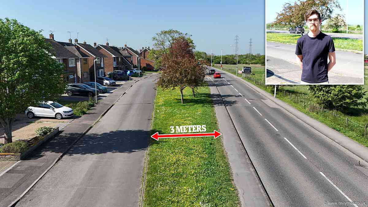 'There'll be uproar': Residents' fury after three meter wide grass verge is listed for auction prompting fears travellers could move in