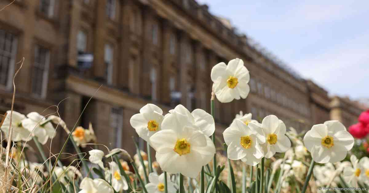 Can you name all of these Newcastle city centre streets? Take our picture quiz