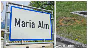 Beziehungsdrama in Maria Alm: Deutsche mit Kopfschuss getötet - das ist über das Ex-Paar bekannt bekannt