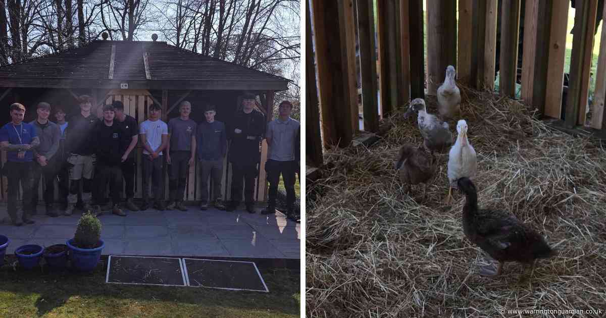 Warrington students help build house for care home’s quacking new residents