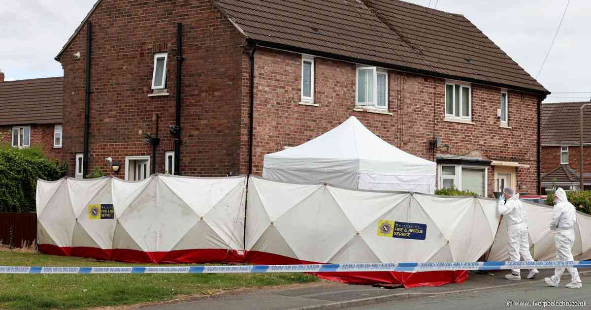 Second person arrested after man stabbed to death in flat
