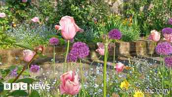 Wiltshire in Pictures: Sunshine and school success
