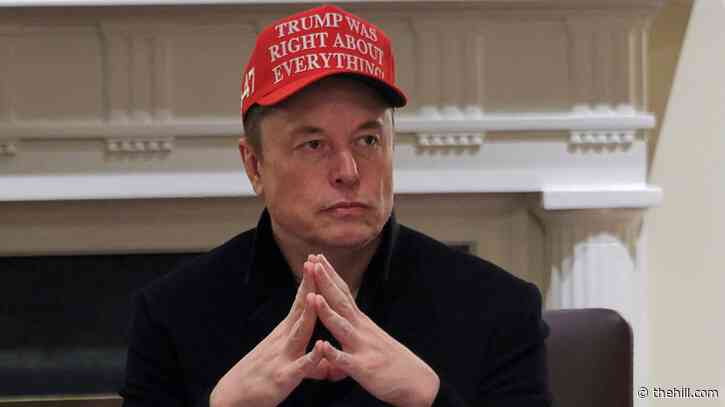 Musk slams media, critics for Nazi comparisons: 'Character assassination'