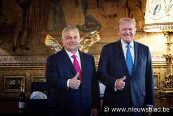 Grondwetspecialist: “Als Trump een gooi doet naar een derde termijn, wordt het écht gevaarlijk”