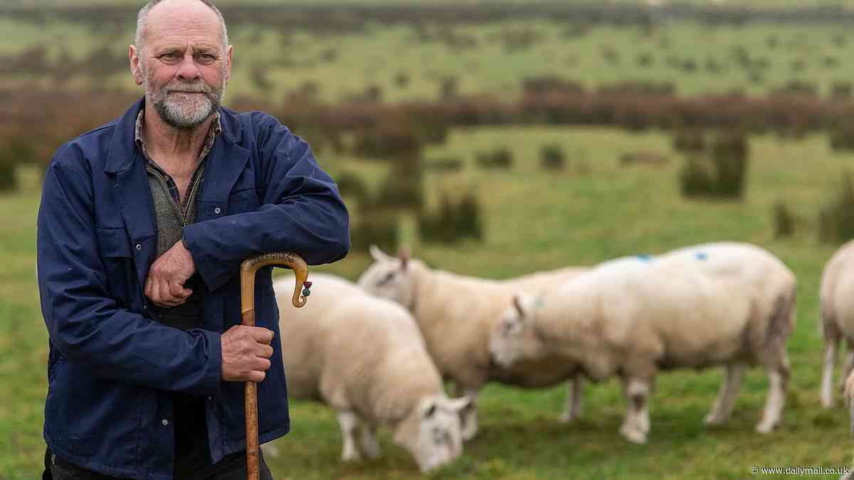 Could farms cash crisis really see cattle and sheep disappear from Scotland's fields?