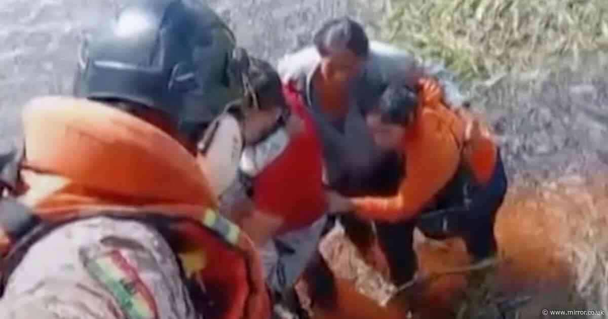 Plane crashes in alligator-infested swamp as survivors perch on top for 36 hours
