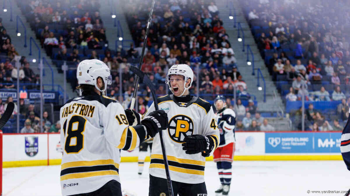 3 Bruins Prospects to Watch in Calder Cup Playoffs