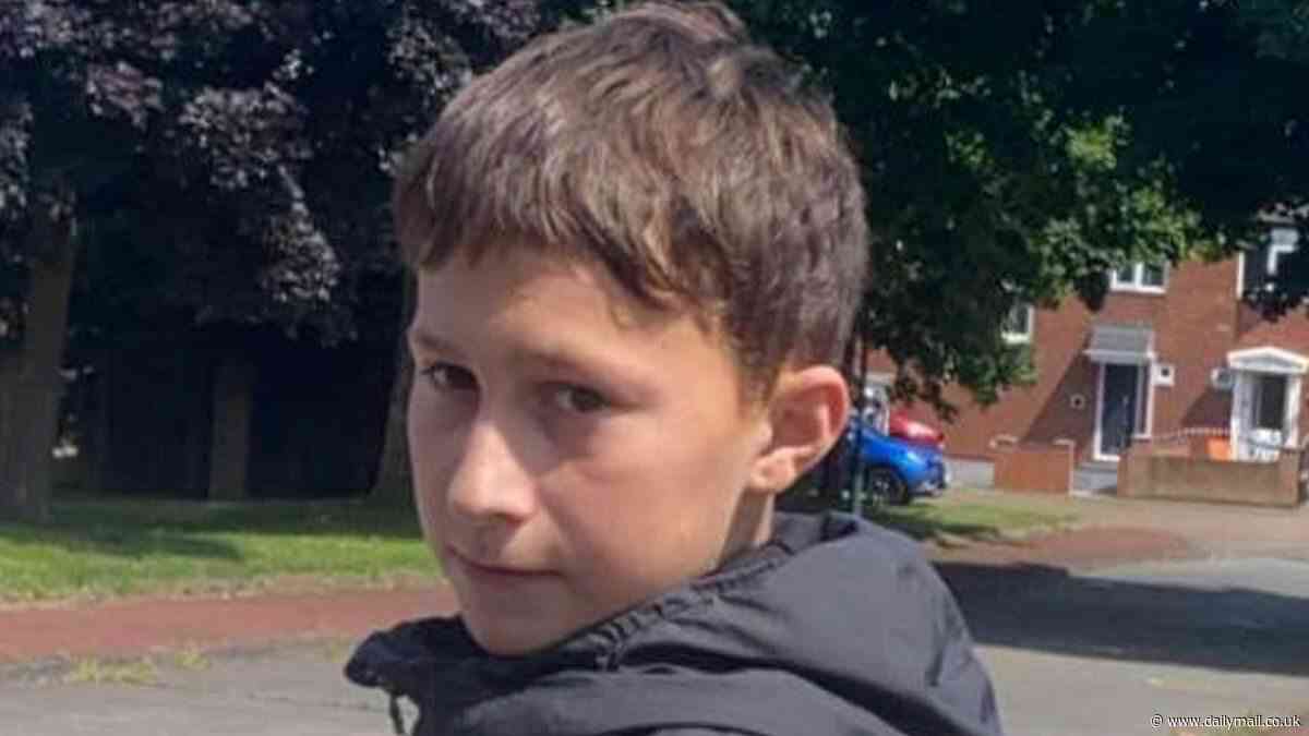 Pictured: Boy 14, killed in a fire on an industrial estate after being reported missing - as 14 children are arrested on suspicion of manslaughter