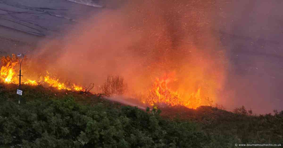 Road closed as emergency services tackle clifftop blaze