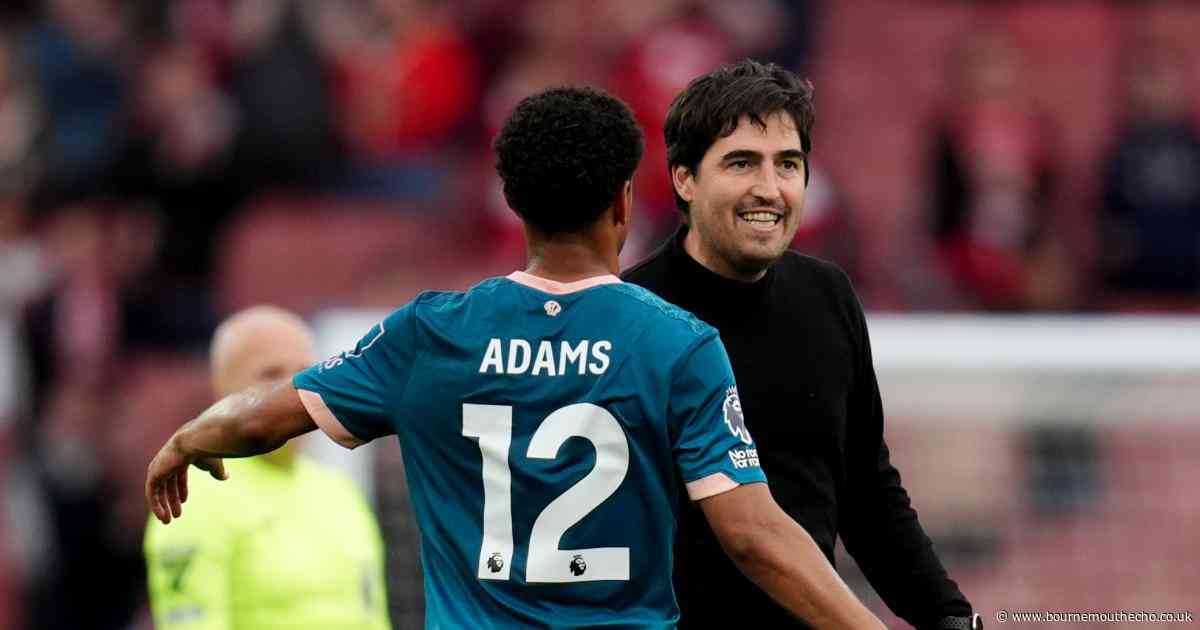 VAR not ruling out Evanilson goal 'not justice' after costing Cherries points