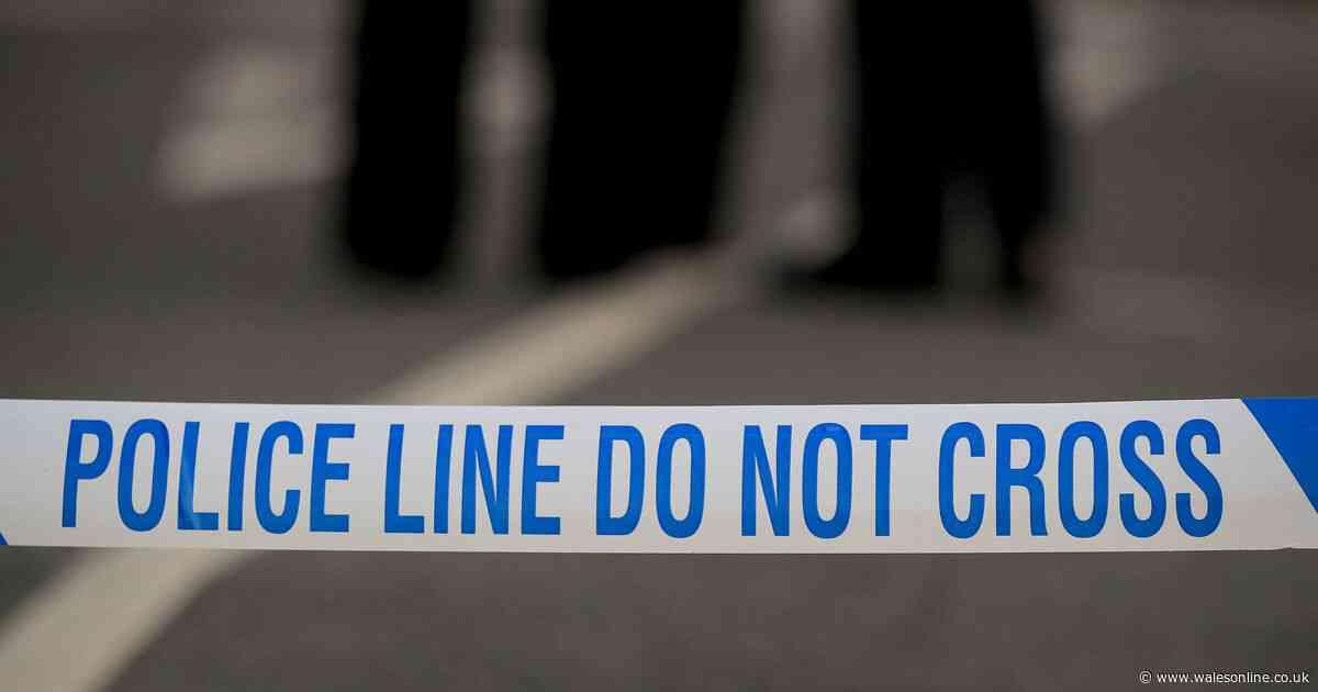 14 children arrested after boy dies in fire