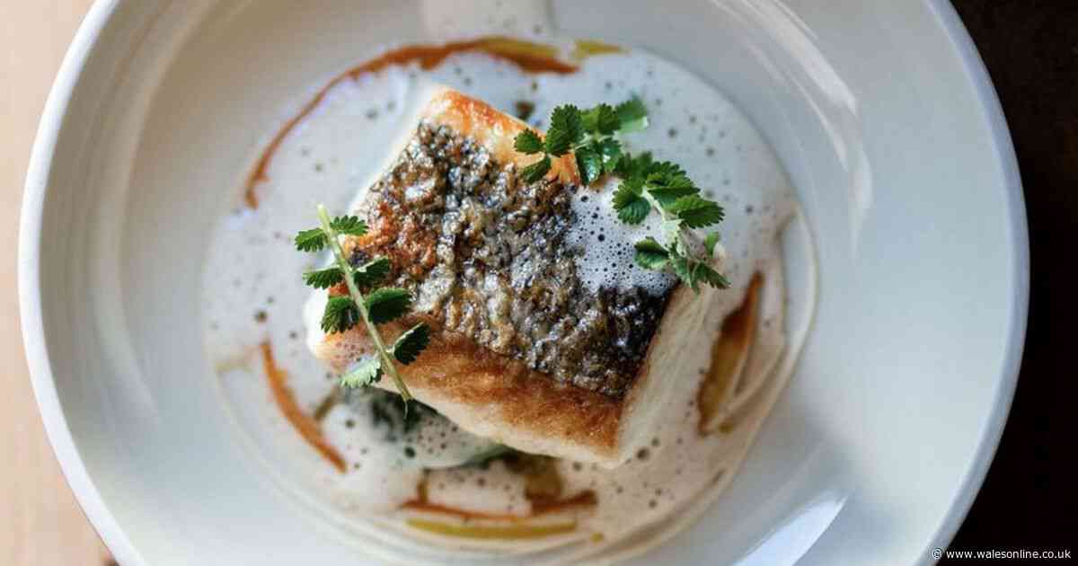 Tiny Welsh restaurant in a former jail where you can't choose what you eat and it's just won a place on a prestigious list