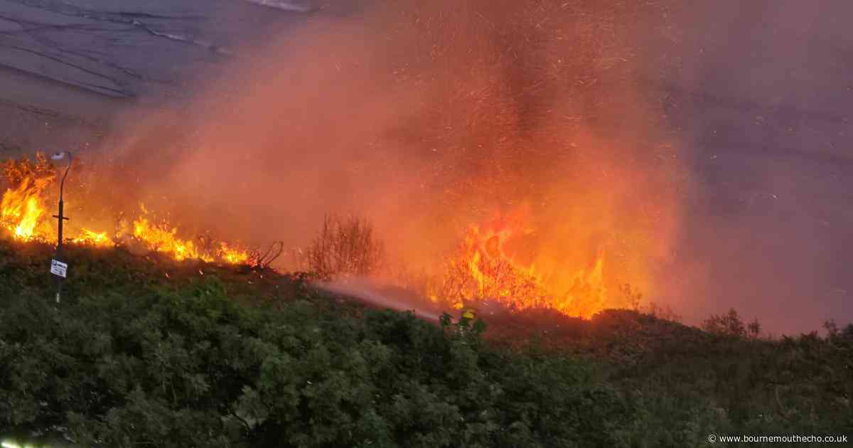 'Avoid the area': Large fire breaks out on Bournemouth clifftop
