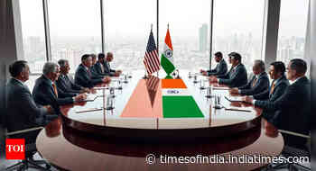US trade talks on, government seeks industry inputs