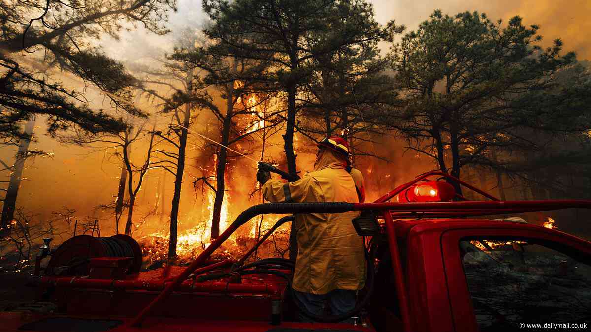 New Jersey teens gave ridiculous excuse before arrest for starting devastating wildfire