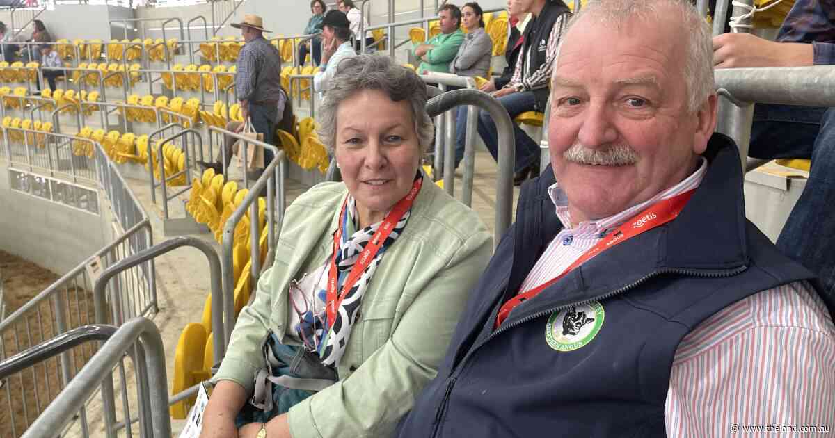 World Angus Forum puts on a show for Northern Irish cattle, chicken producers