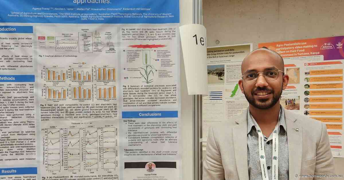 Young gun Agyeya Pratap's journey from India to wheat heat tolerance in WA