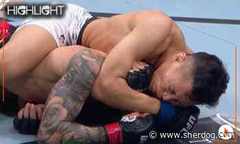 UFC Des Moines Highlight Video: Quang Le Puts Gaston Bolanos to Sleep