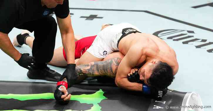 Watch Quang Le put Gaston Bolanos to sleep at UFC Des Moines