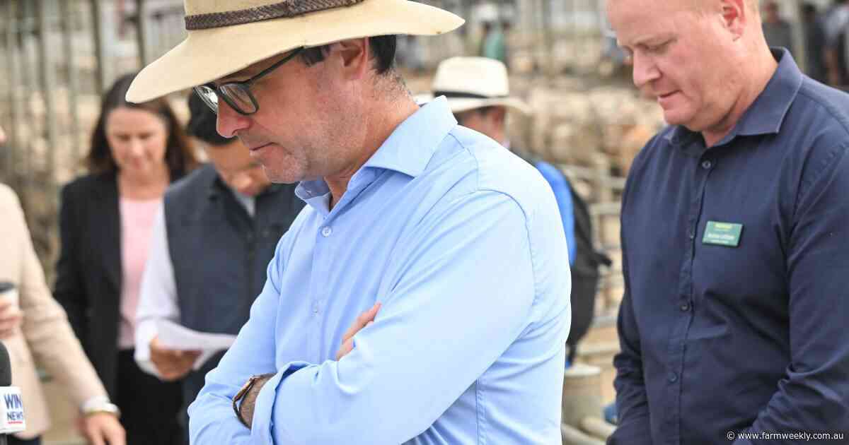Key regional seat results: Nationals hold strong amid Coalition carnage