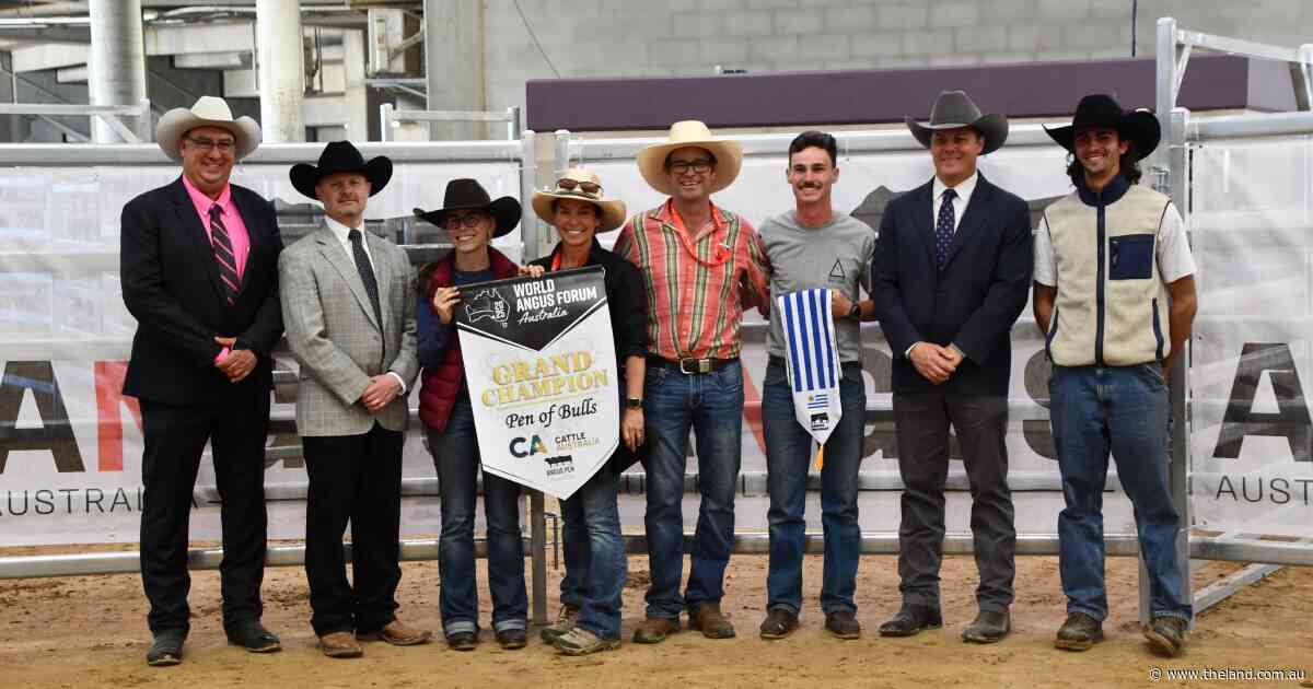 NSW stud wins pen of three bulls; International judges praise Aus genetics