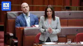 Labor set for easier Senate as Pocock, Lambie risk being sidelined
