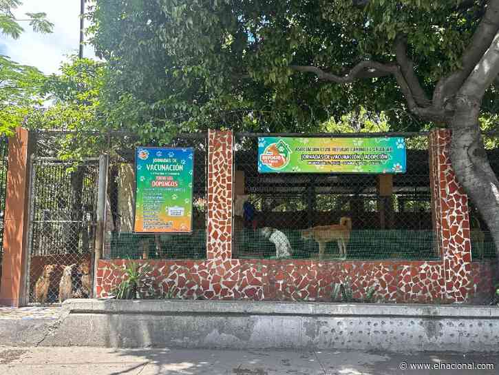 El refugio canino El Valle denuncia abuso sexual de miembro de su equipo y exige justicia