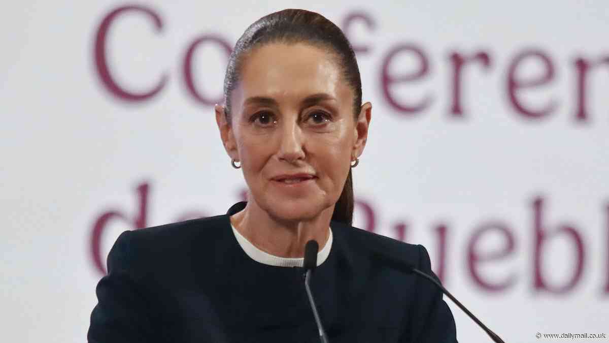 Mexican president Claudia Sheinbaum's brutal reaction to Donald Trump's offer to dispatch US troops across border to combat cartels