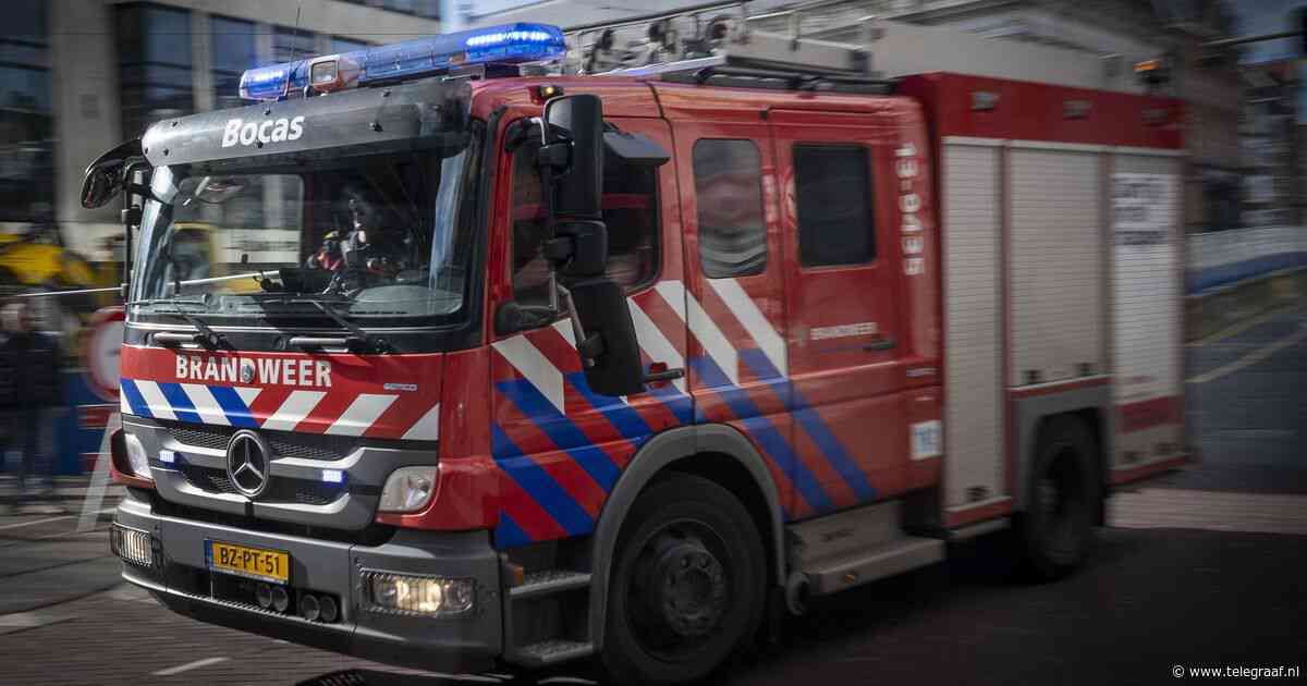 Drie mensen en een hond gered uit brandende woning in Amsterdam