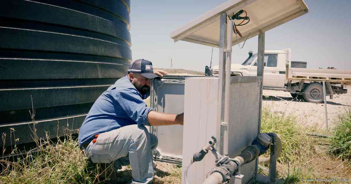 How are WA's northern beef producers adopting on-station technology?